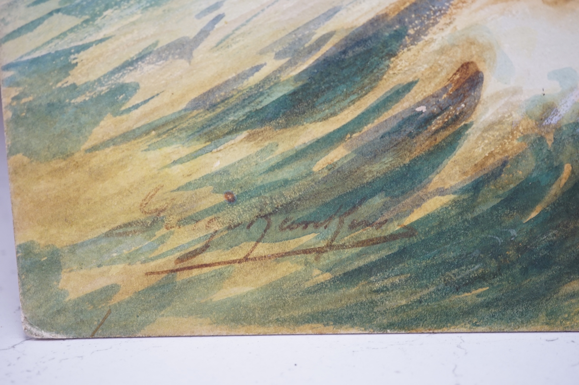 George Rankin (1864-1937), two watercolours on card, ‘Storm petrels’ and ‘Razorbills’, each signed, unframed, 46 x 29cm. Condition - fair to good